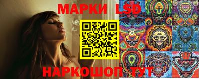 шишки Краснодар
