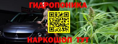 шишки Краснодар