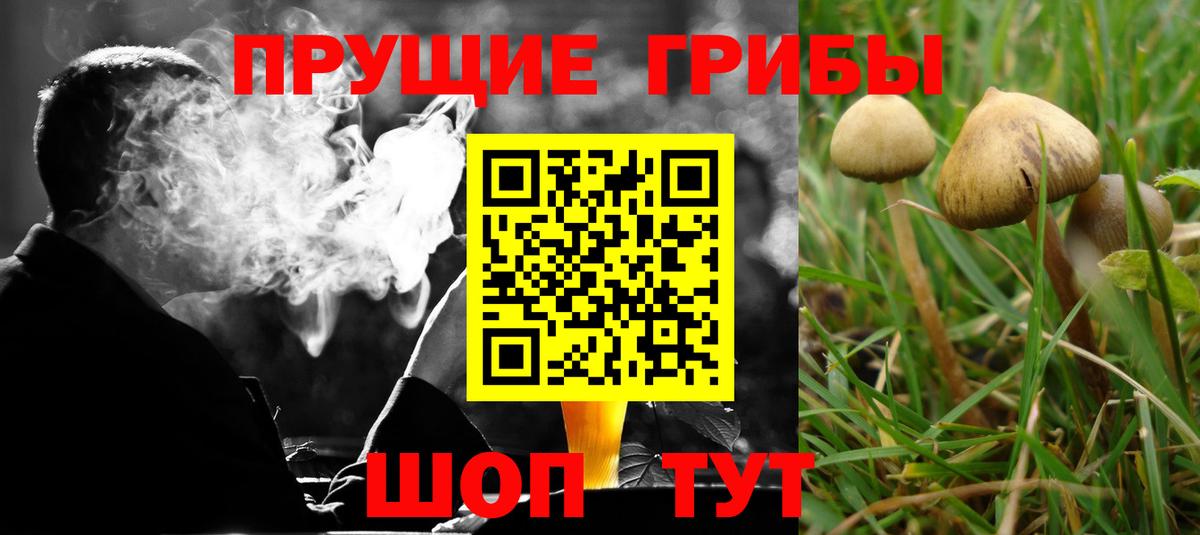 Псилоцибиновые грибы ЛСД  Галлюциногенные грибы MAGIC MUSHROOMS  Кохма  Вход с VPN 