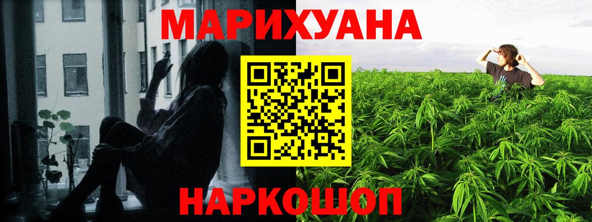 Шишки марихуана OG Kush Кохма